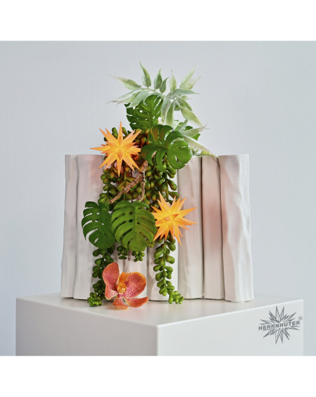 Herrnhuter Miniarturstern "Sonderedition Apricot 2026", 8 cm