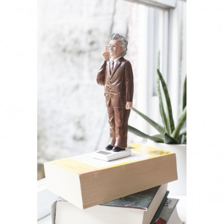 Einstein Solar